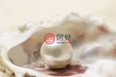 西班牙巴利阿里群岛马纳科尔的酒店，Poligono，编号72888991