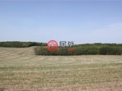加拿大阿尔伯塔Sylvan Lake的独栋别墅，编号48345739