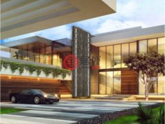美国佛罗里达州迈阿密海滩的独栋别墅，130 Palm Ave，编号59440220