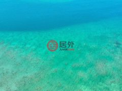 毛里求斯的零售，编号76234326