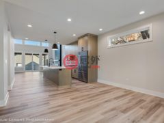 美国伊利诺伊州内帕维的独栋别墅，831 N Ellsworth Street，编号76888874