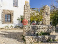 西班牙BarcelonaVilanova i la Geltrú的农场，MAS DE CARRO 10，编号36553698