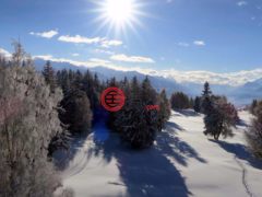瑞士Crans-montana的公寓，3963 Crans-Montana Switzerland，编号77684717