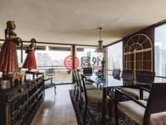 智利Region Santiago MetropolitanLas Condes的公寓，El Golf 162755，编号64503053