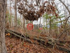 美国北卡罗莱纳州阿什维尔的住宅用地，99999 Serenity Ridge Trail 35，编号76733467