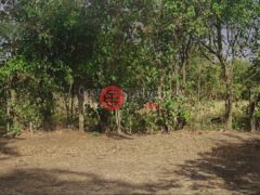 哥斯达黎加阿拉胡埃拉的住宅用地，Belén，编号69390850