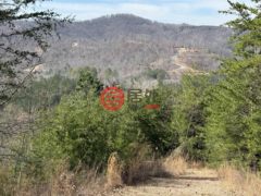 美国北卡罗莱纳州博斯蒂克的住宅用地，165 Pinegrove Drive，编号77264140