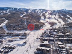 美国科罗拉多州斯诺马斯村的公寓，96 Snowmass Village Mall #408，编号77124678