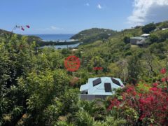 美属维京群岛Cruz Bay的公寓，86FC+738 Rock Ridge Cruz Bay St John 00830 USVI，编号77383476