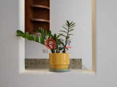 墨西哥南下加利福尼亚州圣卢卡斯的独栋别墅，Casa Coral 214 Camino del Mar，编号76433571